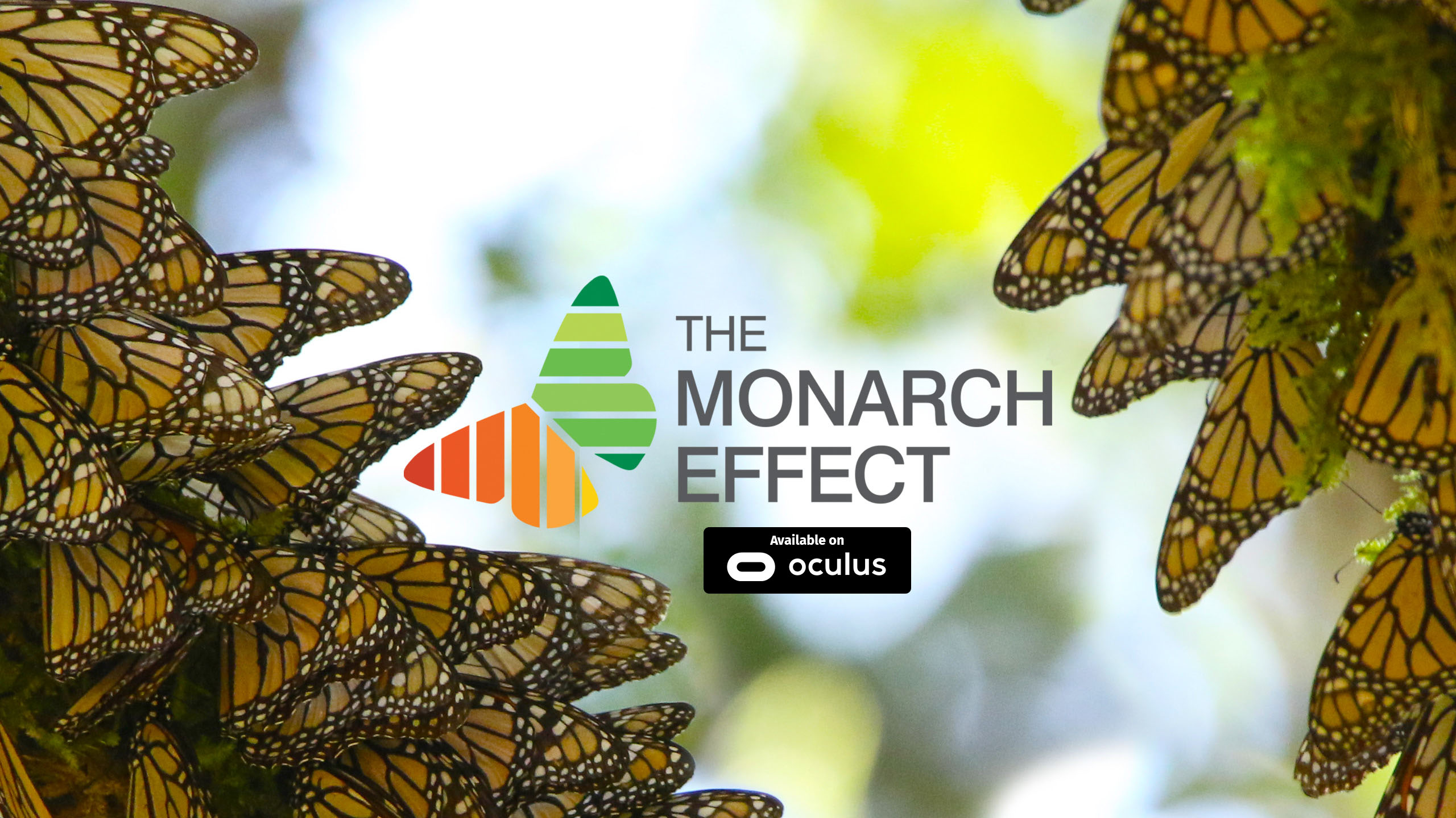 Environmental Defense Fund — The Monarch Effect | A Story of Resilience